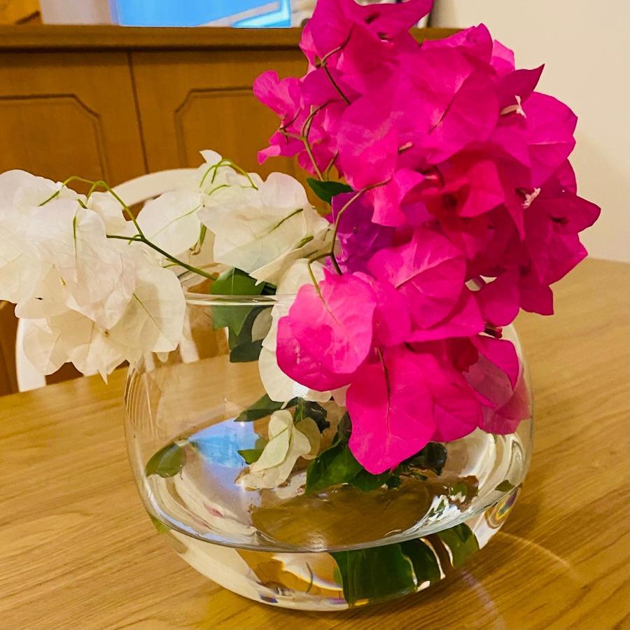 Ouranias Guesthouse Chania  Zewnętrze zdjęcie